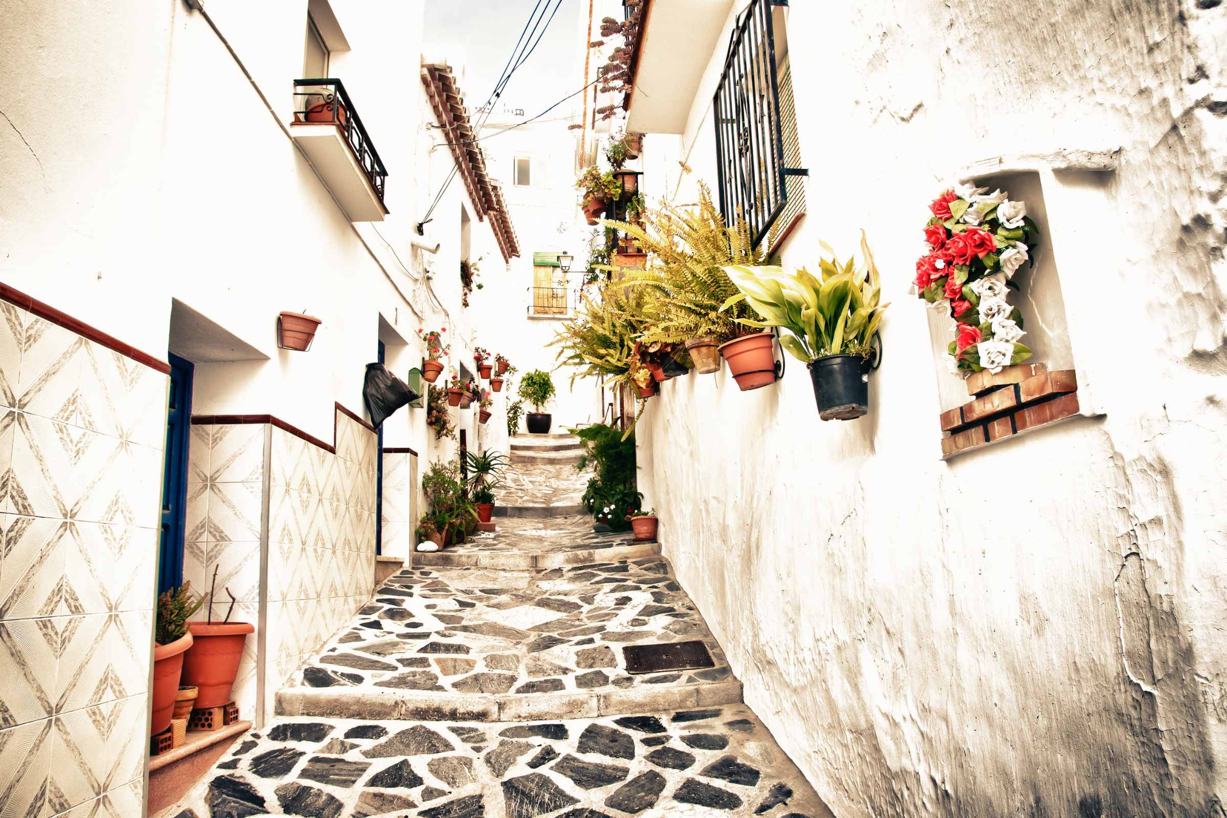 canillas de albaida 02.webp